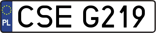 CSEG219