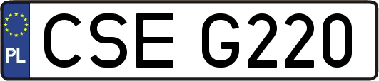 CSEG220