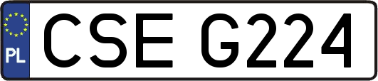 CSEG224