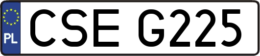 CSEG225
