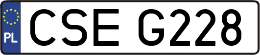 CSEG228