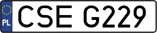 CSEG229