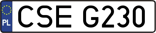 CSEG230