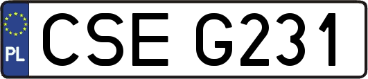 CSEG231