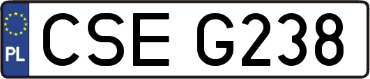 CSEG238