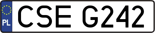 CSEG242