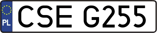 CSEG255