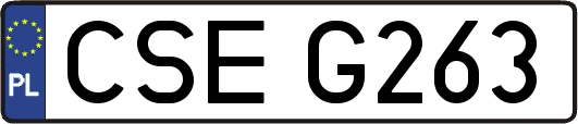 CSEG263