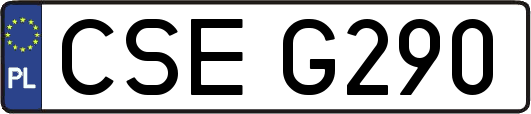 CSEG290