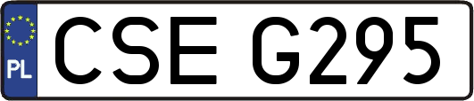 CSEG295