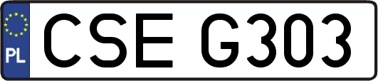 CSEG303