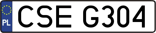 CSEG304