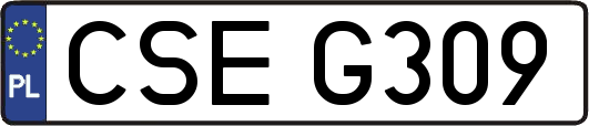 CSEG309