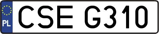 CSEG310