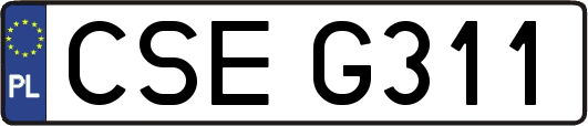 CSEG311