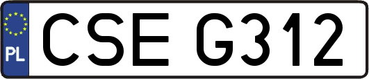 CSEG312