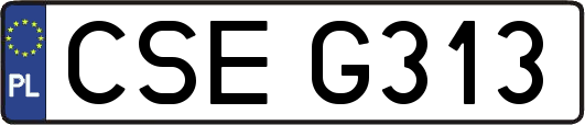 CSEG313