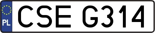 CSEG314