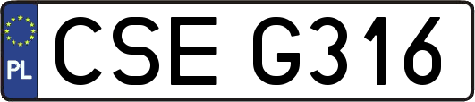 CSEG316