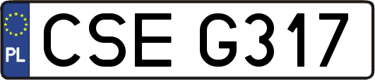 CSEG317