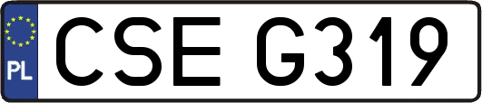 CSEG319
