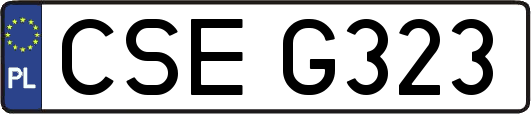CSEG323