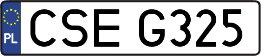 CSEG325