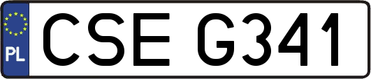 CSEG341