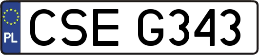 CSEG343