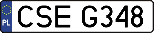 CSEG348