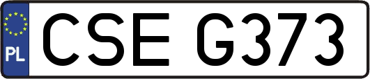 CSEG373