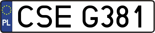 CSEG381