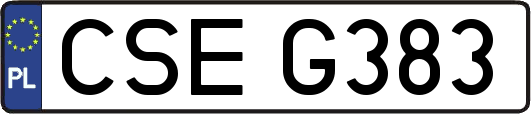 CSEG383