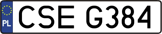 CSEG384