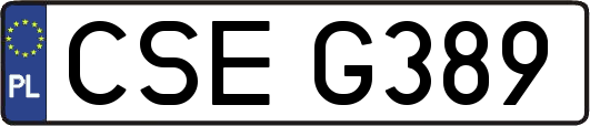 CSEG389