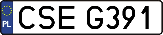 CSEG391