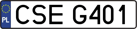 CSEG401