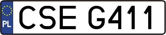 CSEG411