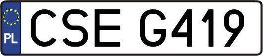 CSEG419
