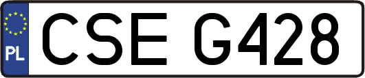 CSEG428