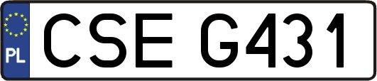 CSEG431