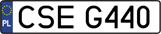 CSEG440