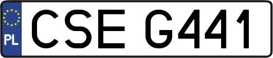 CSEG441
