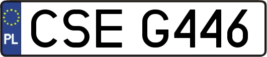 CSEG446