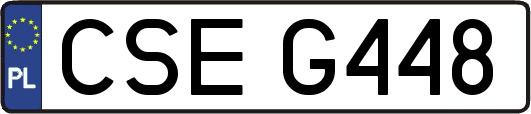 CSEG448