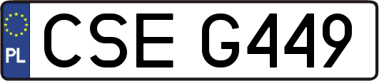 CSEG449
