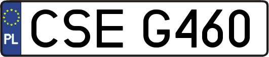 CSEG460