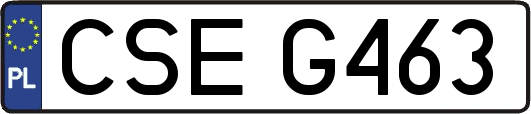 CSEG463
