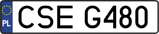 CSEG480