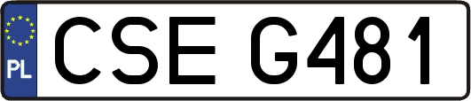 CSEG481
